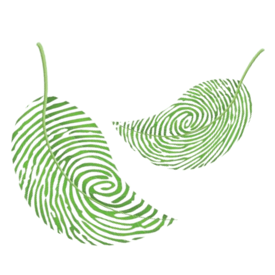 Decorative leaf