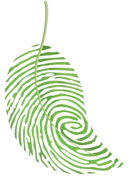 Decorative image