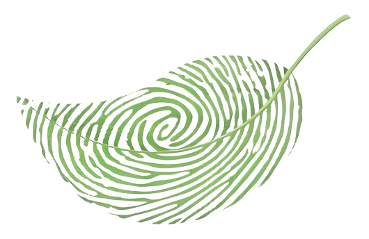 Decorative image